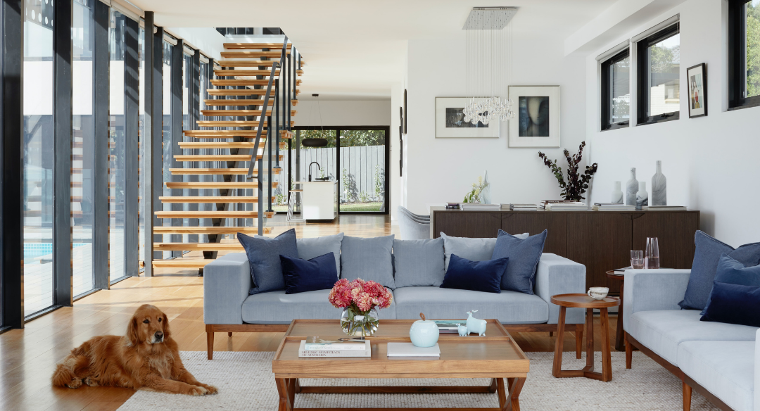 Contemporary designed living room